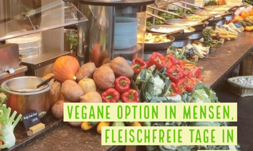 Vegane Option in Mensen, fleischfreie Tage in Kitas