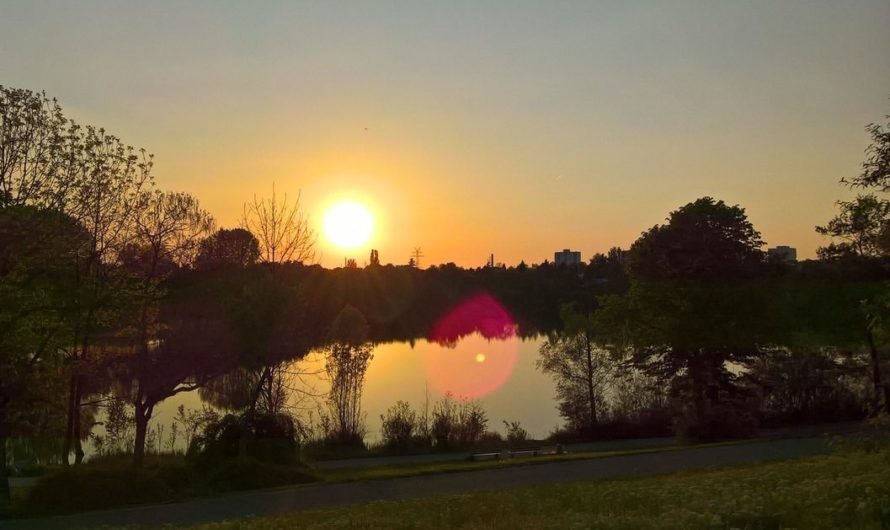 Ufer und Umgebung der Vogelstangseen als Schutzgebiete