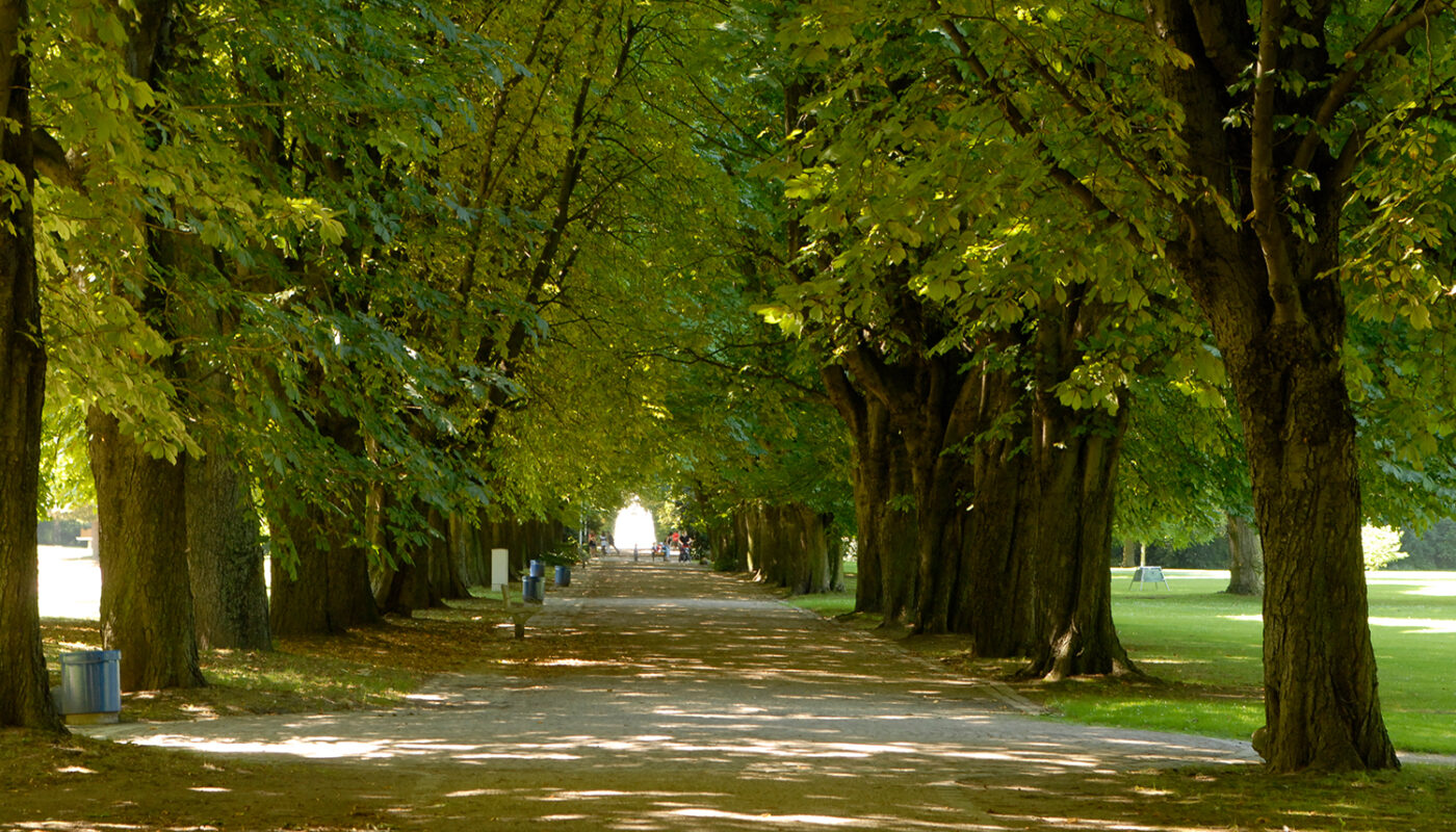 Herzogenriedpark Mannheim