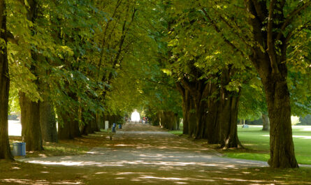 Herzogenriedpark Mannheim