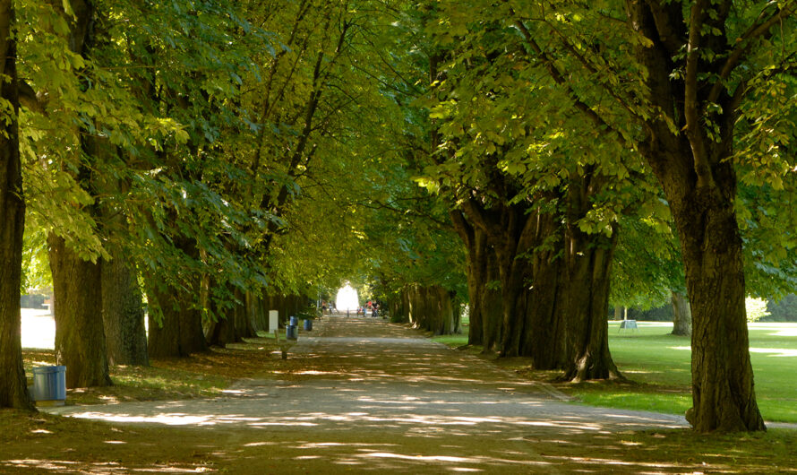 Herzogenriedpark weiter aufwerten, auf die Anforderungen vor und während der BUGA-Periode vorbereiten