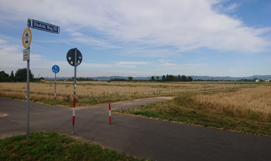 Bösfeld und angrenzende Gebiete als Landschaftsschutzgebiet